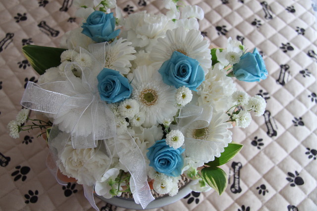 ファイル 1232-2.jpg