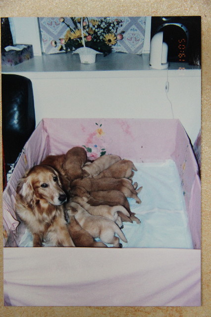 ファイル 1234-5.jpg