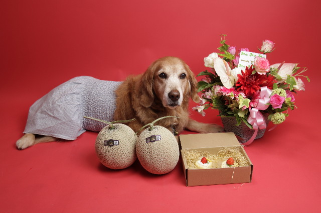 ファイル 1236-2.jpg