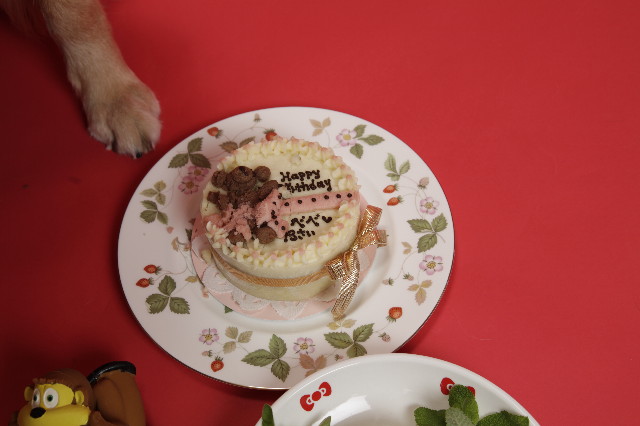 ファイル 1236-3.jpg