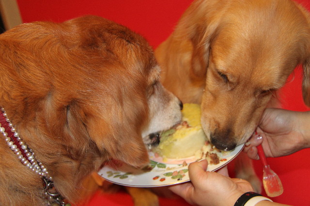 ファイル 1236-4.jpg