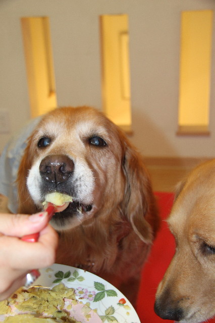 ファイル 1236-5.jpg