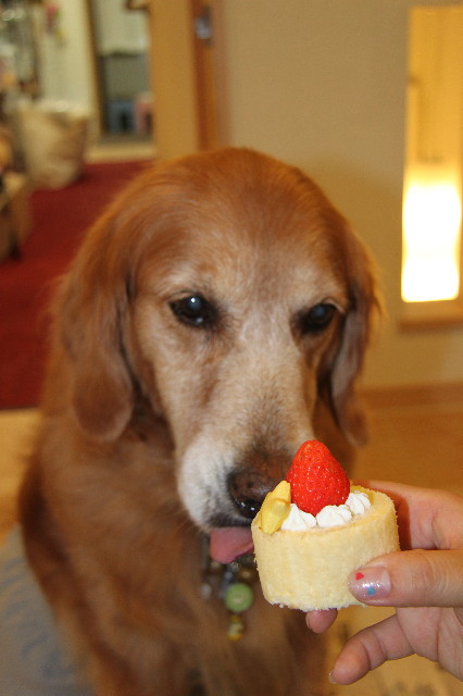 ファイル 1237-1.jpg