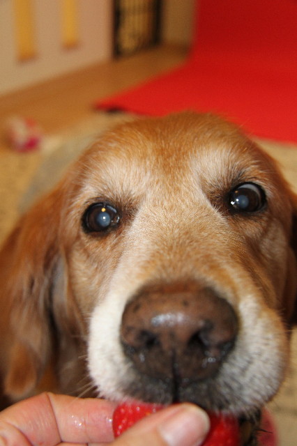 ファイル 1237-2.jpg