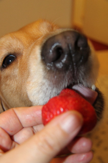 ファイル 1237-3.jpg