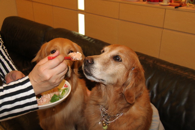 ファイル 1237-4.jpg