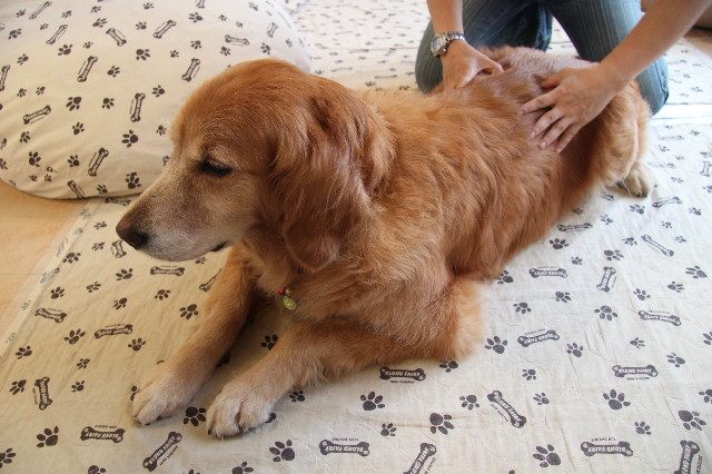 ファイル 1239-2.jpg