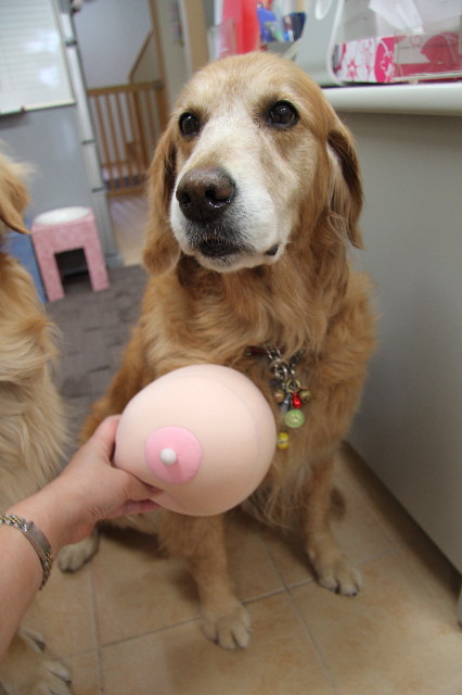 ファイル 1240-3.jpg