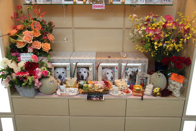 ファイル 1241-3.jpg