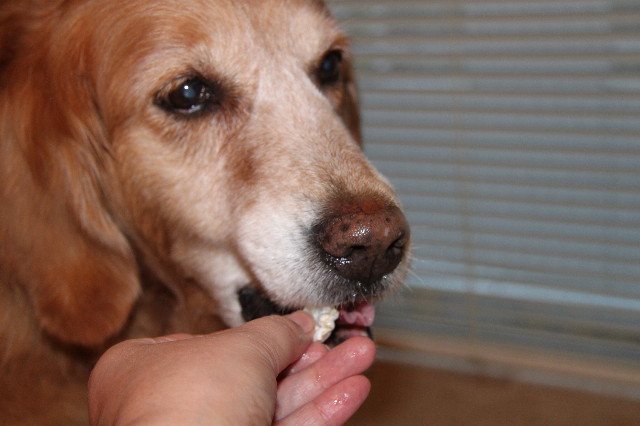 ファイル 1241-5.jpg