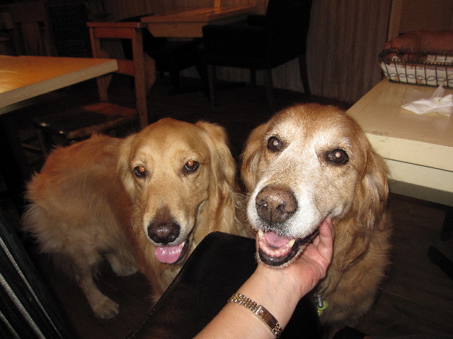 ファイル 1242-5.jpg