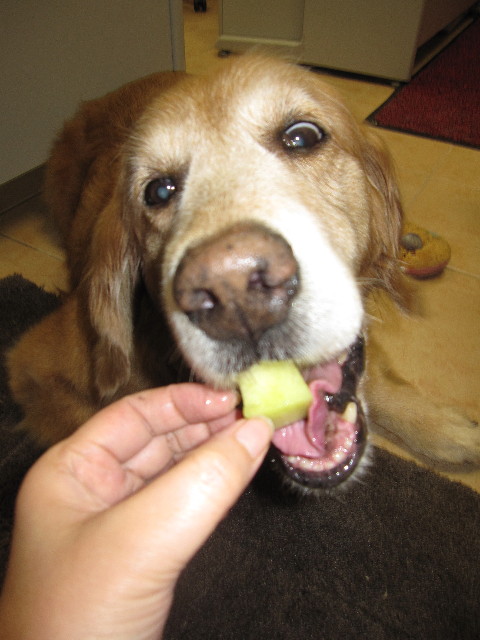 ファイル 1243-1.jpg