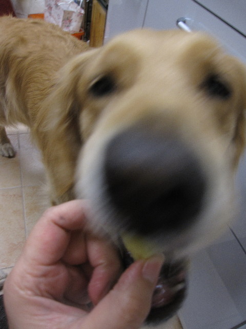 ファイル 1243-2.jpg