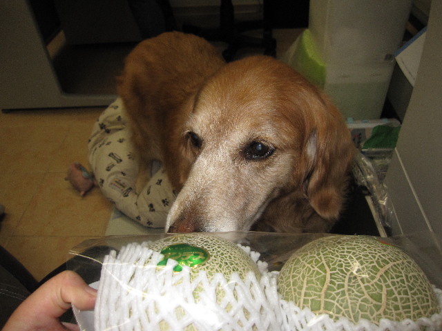 ファイル 1243-4.jpg