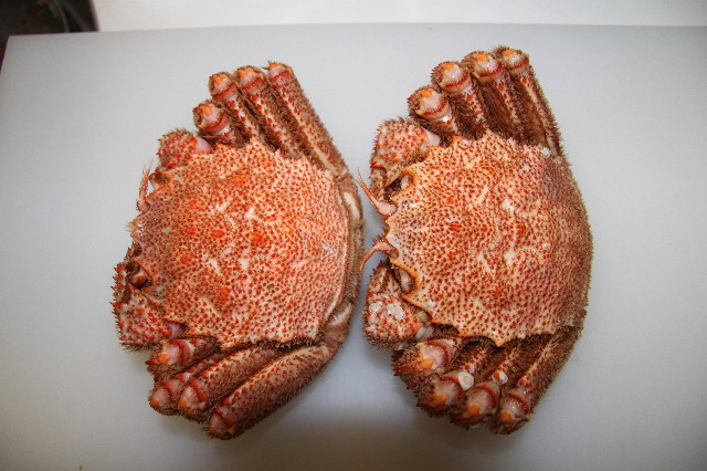 ファイル 1244-3.jpg