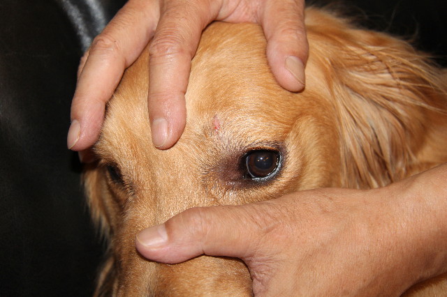 ファイル 1245-1.jpg