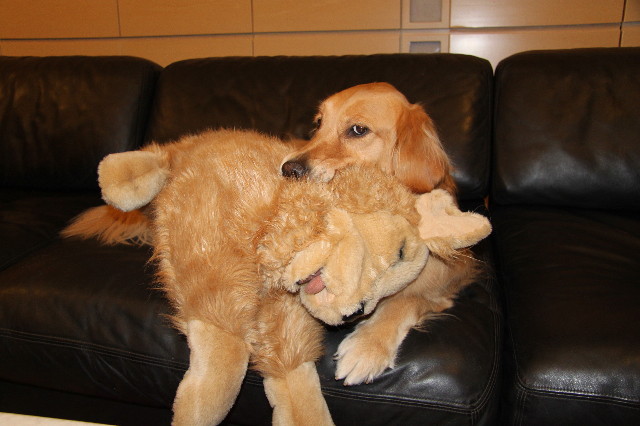 ファイル 1245-3.jpg