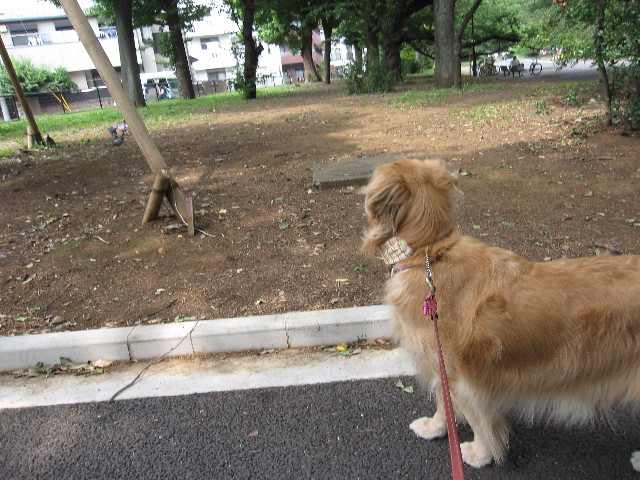 ファイル 1246-5.jpg