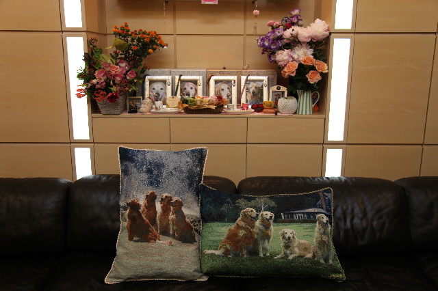 ファイル 1247-1.jpg