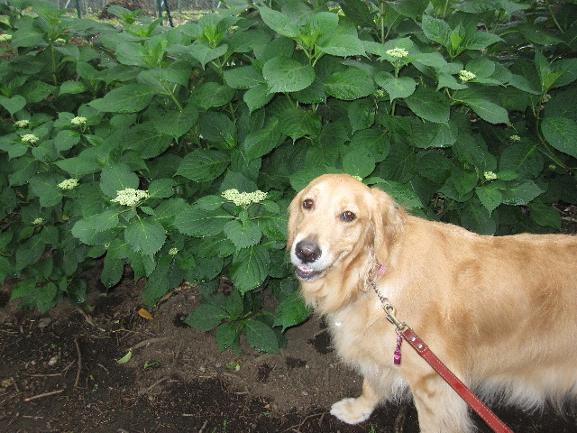 ファイル 1248-3.jpg