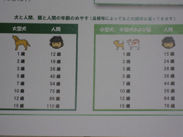 ファイル 1248-5.jpg