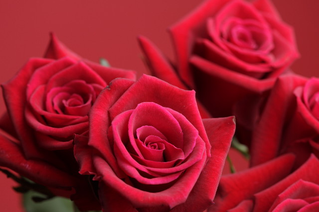 ファイル 1249-1.jpg