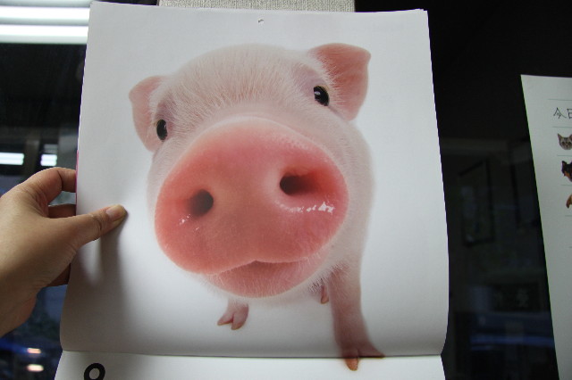 ファイル 1250-5.jpg