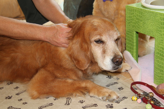 ファイル 1251-2.jpg