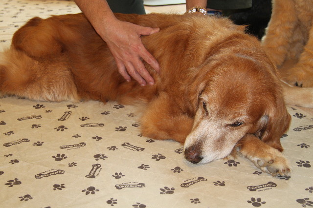 ファイル 1251-3.jpg