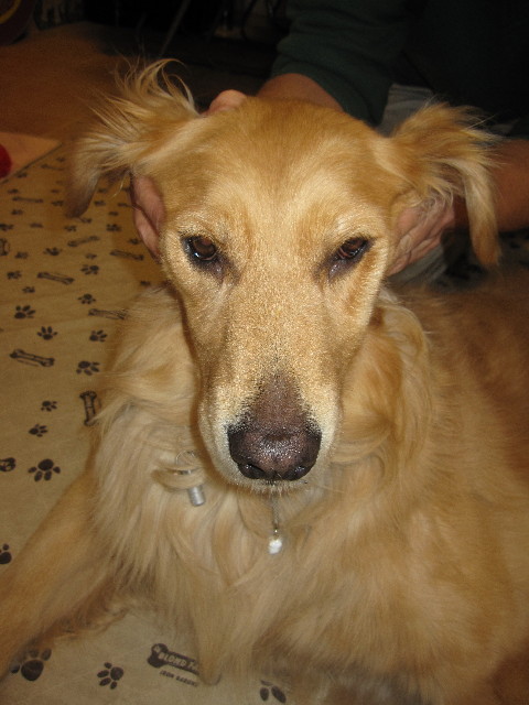 ファイル 1254-4.jpg