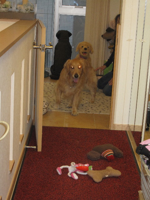 ファイル 1255-1.jpg