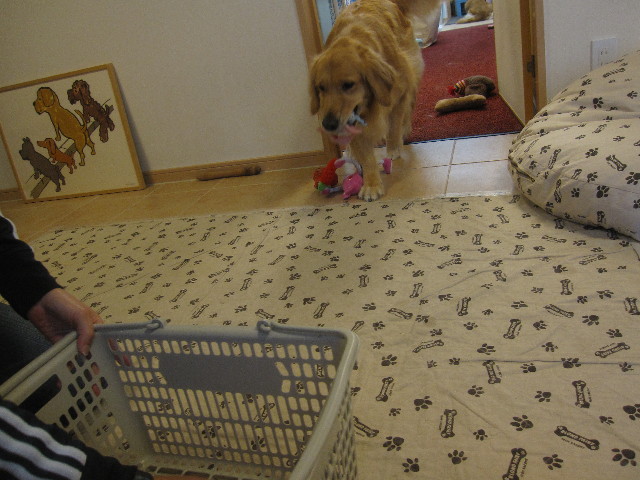 ファイル 1255-2.jpg