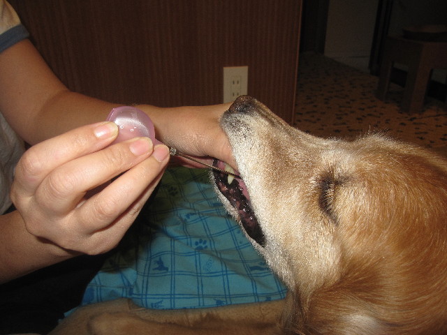 ファイル 1258-2.jpg