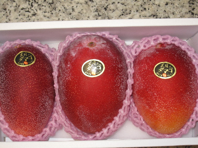 ファイル 1258-3.jpg