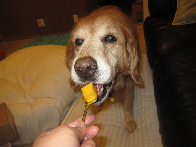 ファイル 1258-5.jpg