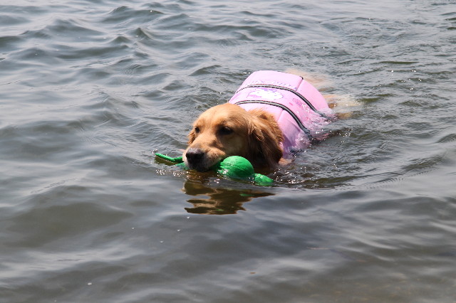 ファイル 1260-2.jpg