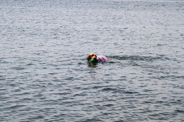 ファイル 1260-5.jpg