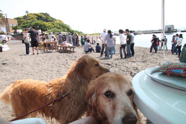 ファイル 1261-2.jpg