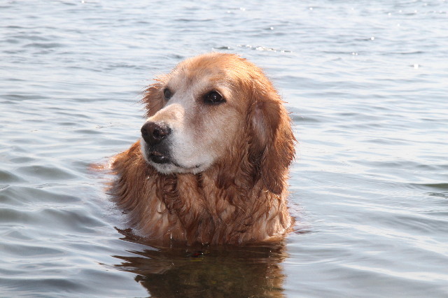 ファイル 1262-1.jpg