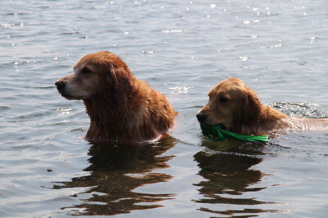 ファイル 1262-3.jpg