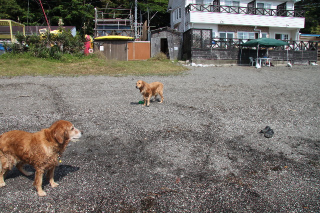 ファイル 1262-4.jpg