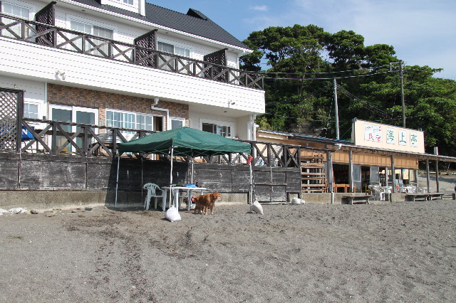 ファイル 1262-5.jpg