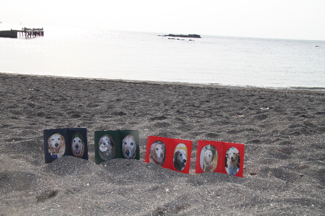 ファイル 1263-2.jpg