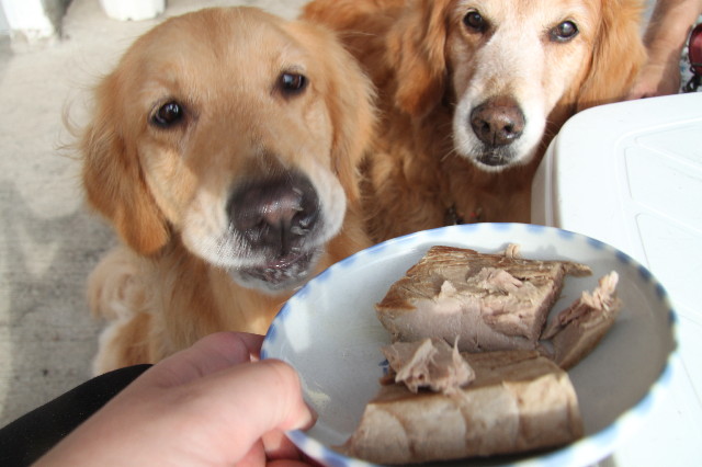 ファイル 1263-3.jpg