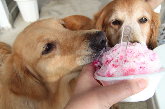 ファイル 1263-4.jpg