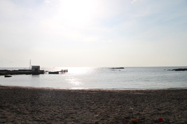 ファイル 1263-5.jpg