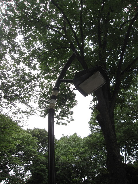 ファイル 1264-2.jpg