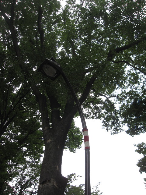 ファイル 1264-3.jpg