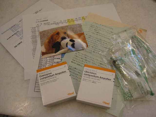 ファイル 1264-5.jpg