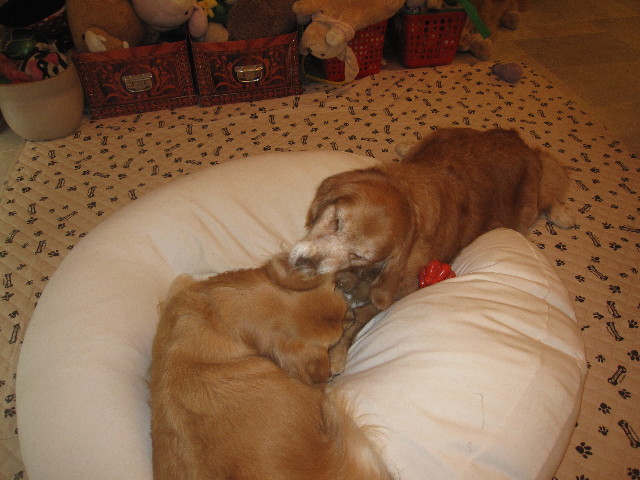 ファイル 1266-2.jpg